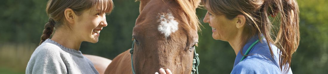 Horseback Riding Lessons at Two Hawks Ranch in Larkspur, Colorado