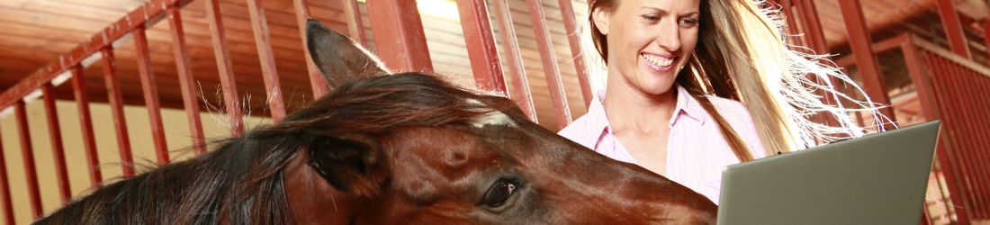 Riding Release for Two Hawks Ranch in Larkspur, Colorado